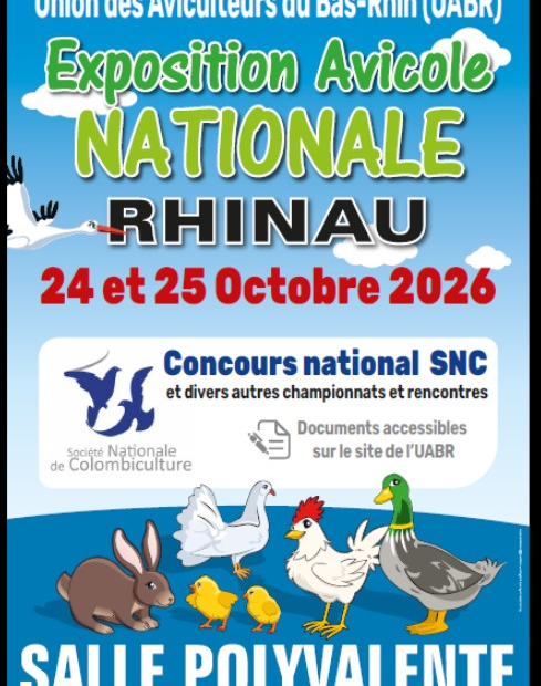 chamionnat de France Poule Soie - 24 et 25 octobre 2026 à Rhinau