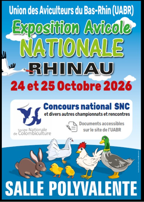 chamionnat de France Poule Soie - 24 et 25 octobre 2026 à Rhinau